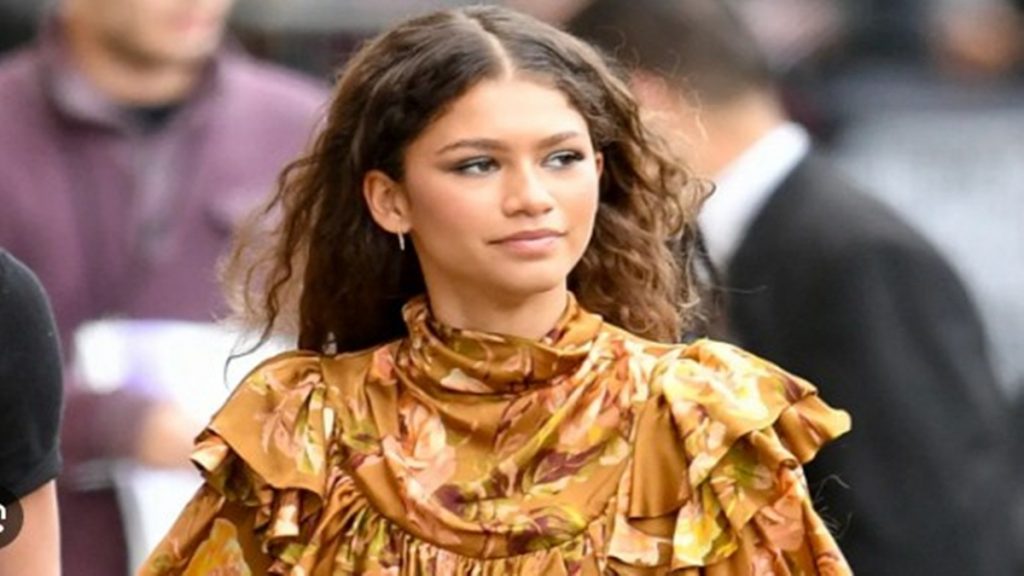 What is Zendaya’s net worth? Photo de Quelle est la fortune de Zendaya ?