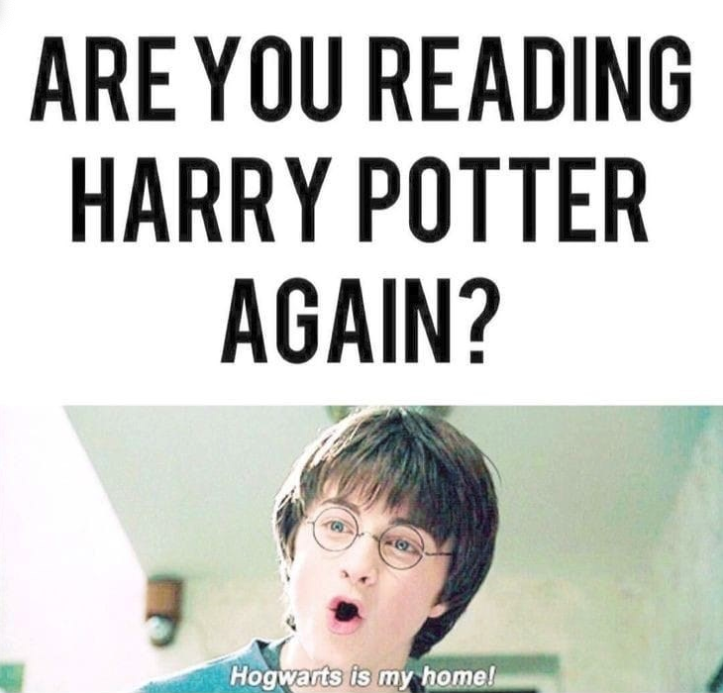 Picture of Harry Potter meme funny fun lot of lought