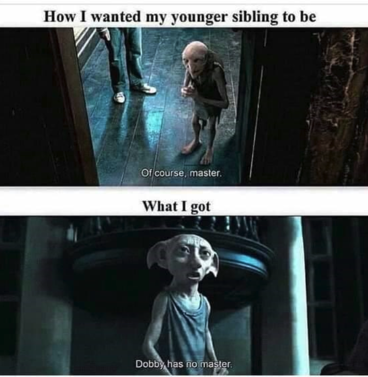 Picture of Harry Potter meme funny fun lot of lought