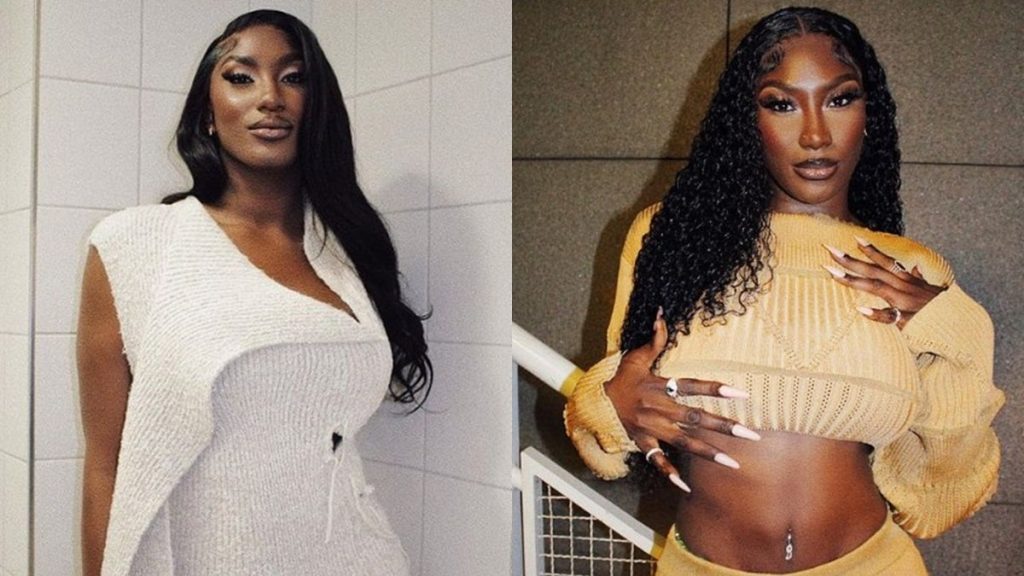 Picture of Aya Nakamura's fortune Is she really that rich