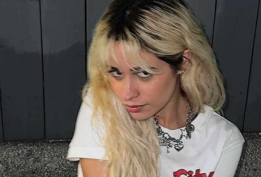 Picture of Camila Cabello and Shawn Mendes back together again?