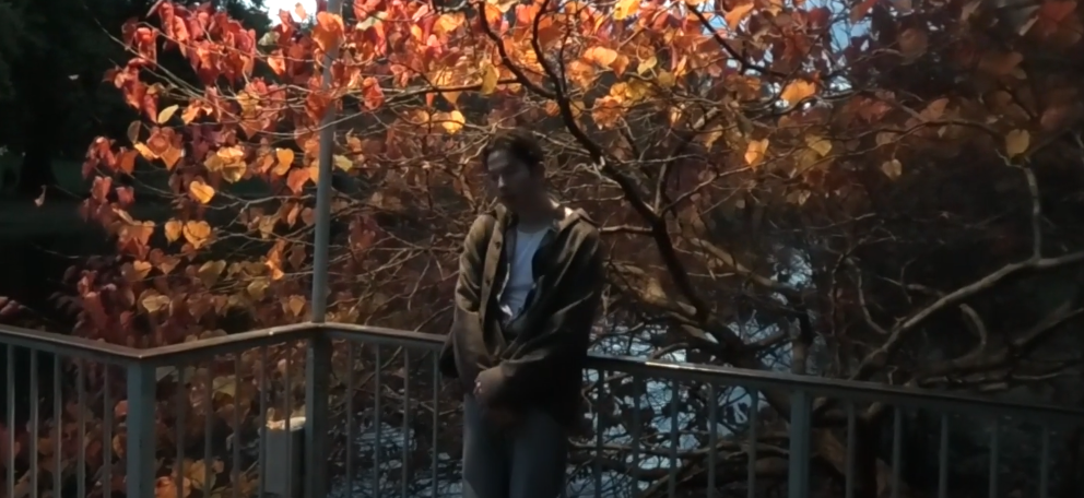 Picture of nasus_elyob and meifoon collaborate on the incredible "crushed"