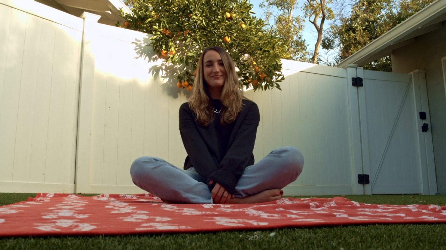 Picture of Eliana Rosen's "Greenville": A Poetic Journey Through Nostalgia